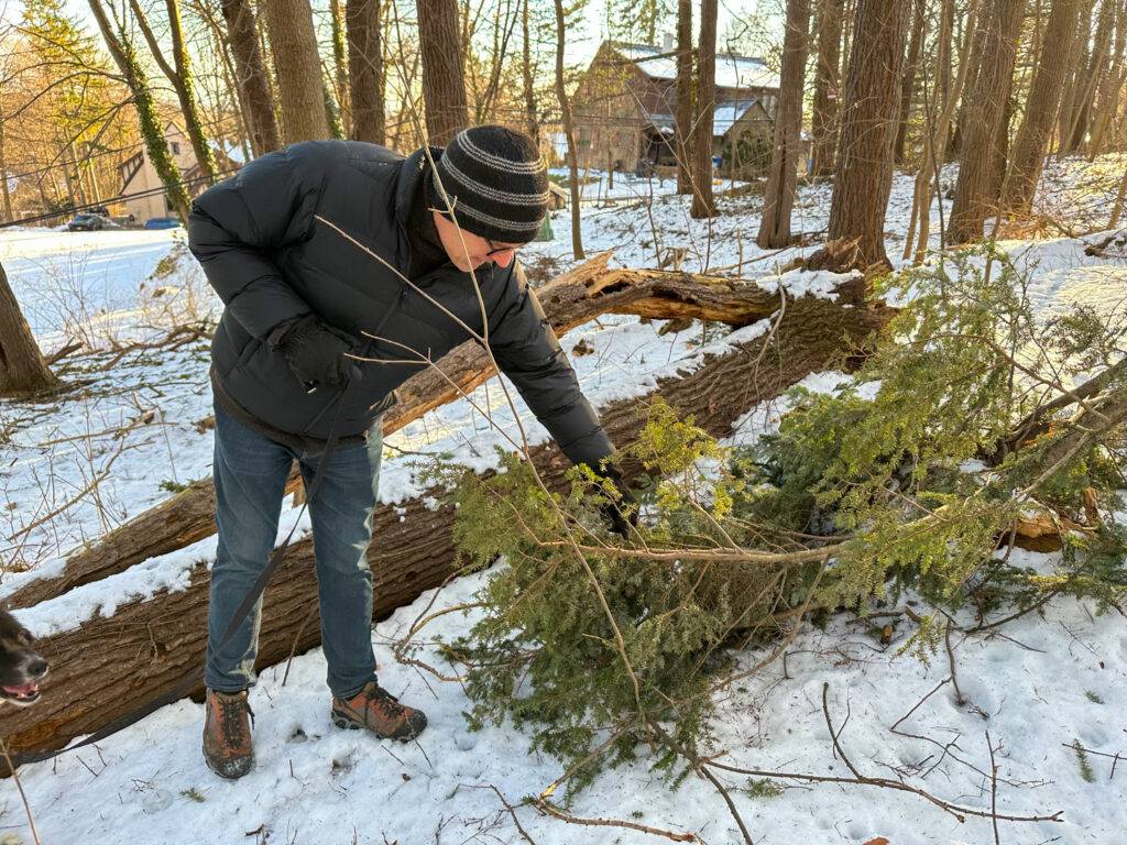 Michael Warren Thomas Scouting for Invasive Species